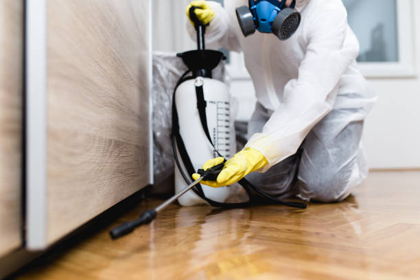 Best Best Pest Control Near Me  in Shell Ridge, CA