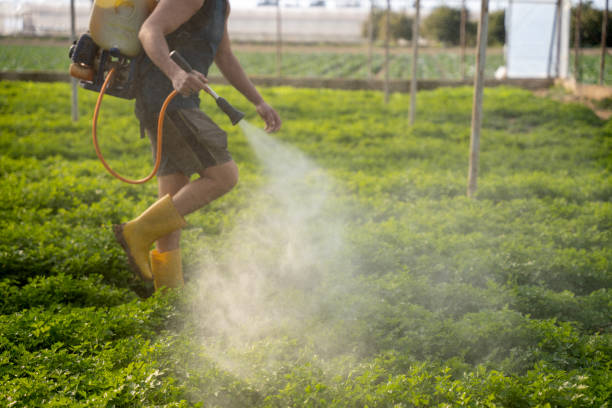 Best Best Pest Control Companies  in Shell Ridge, CA