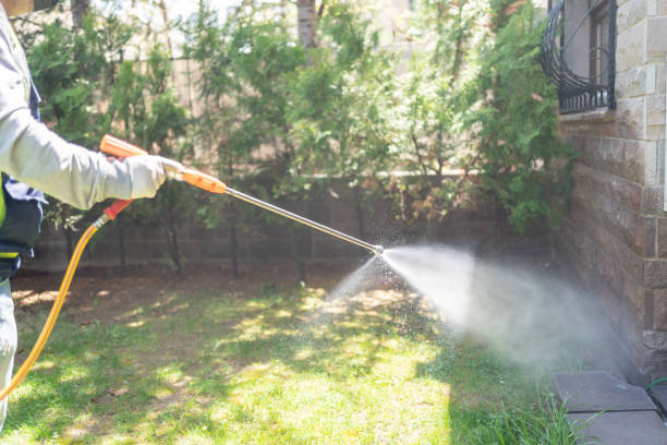 Pest Control for Restaurants in Shell Ridge, CA