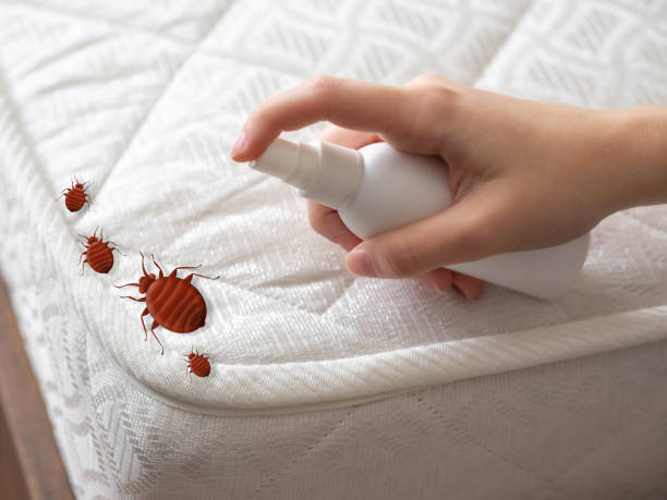 Best Pest Control Near Me  in Shell Ridge, CA