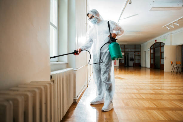 Best Affordable Pest Control Services  in Shell Ridge, CA