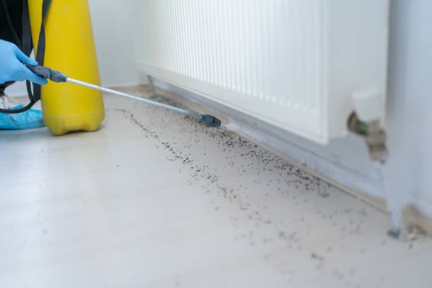 Best Emergency Pest Control  in Shell Ridge, CA