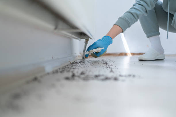 Best Local Pest Control Services  in Shell Ridge, CA