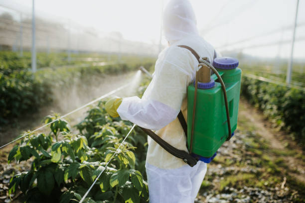 Trusted Shell Ridge, CA Pest Control Experts